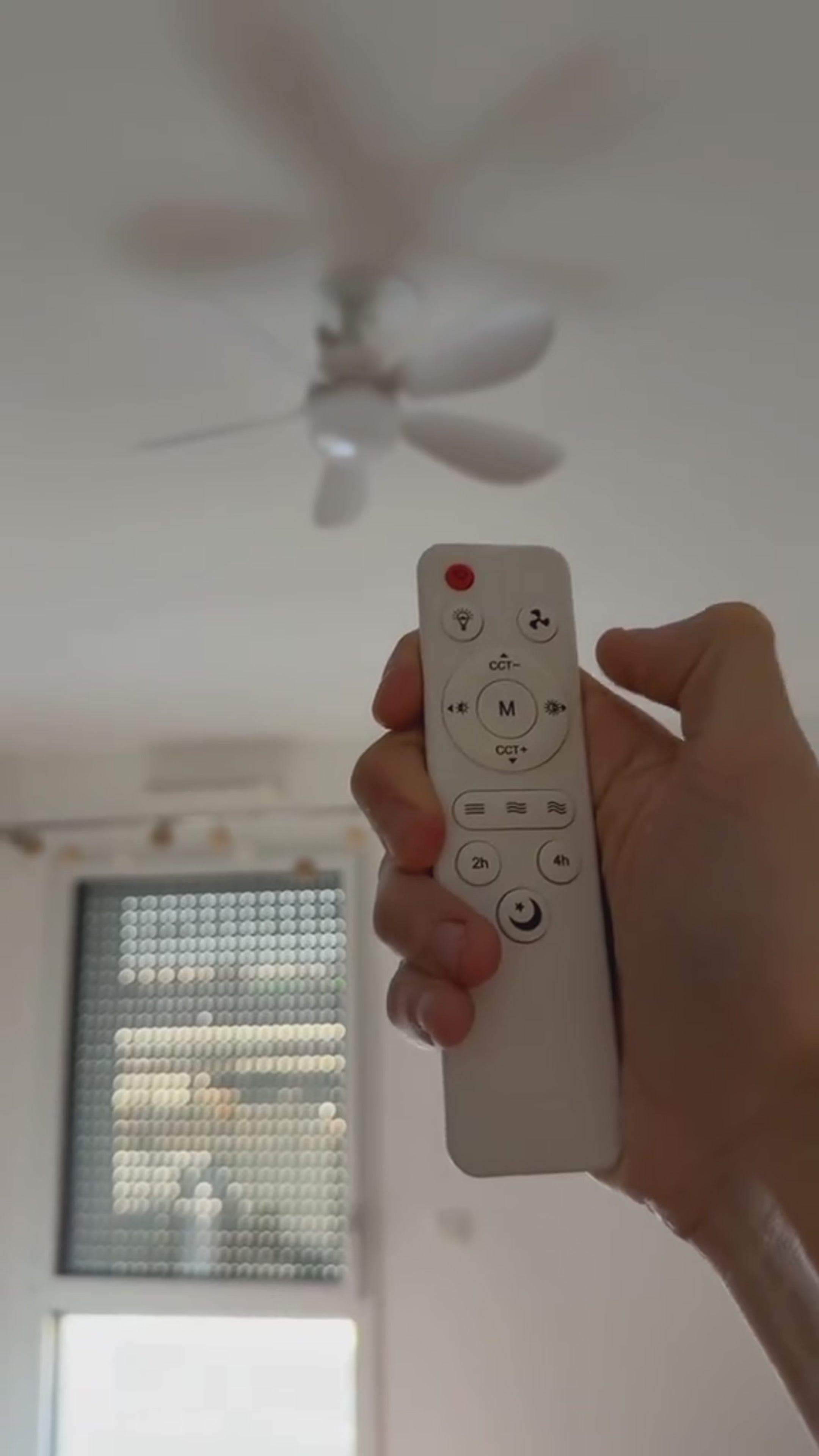 Charger la vidéo : 